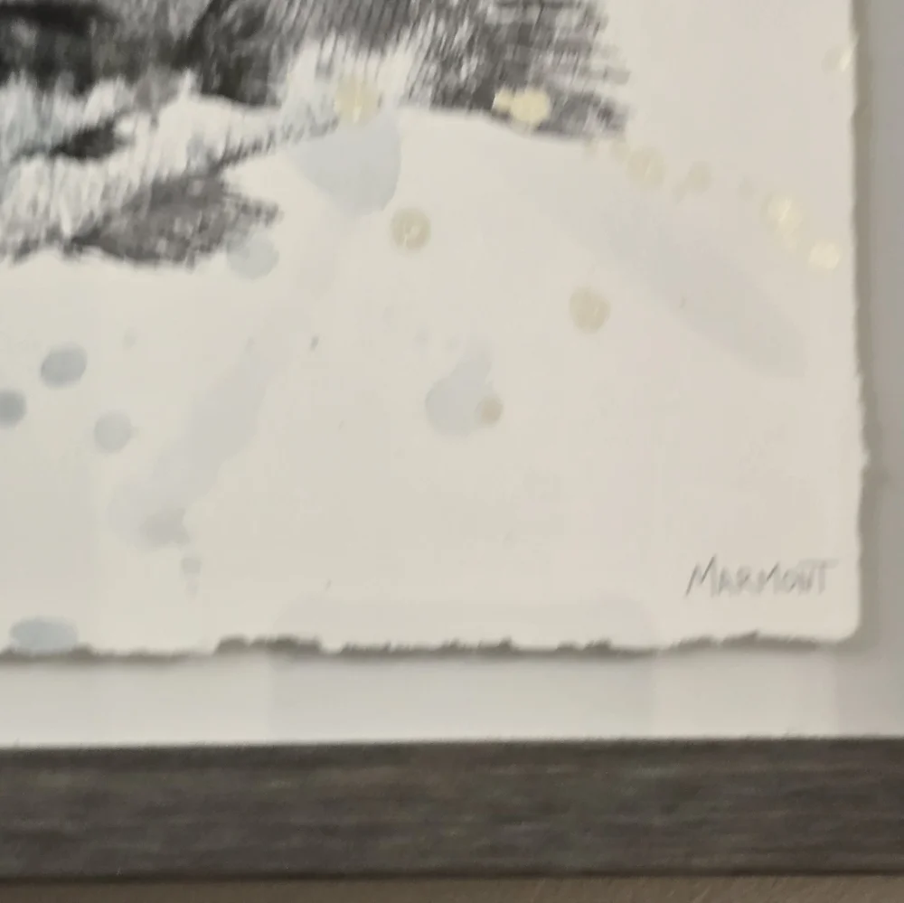 Gray Fish Art Print in Wooden Frame